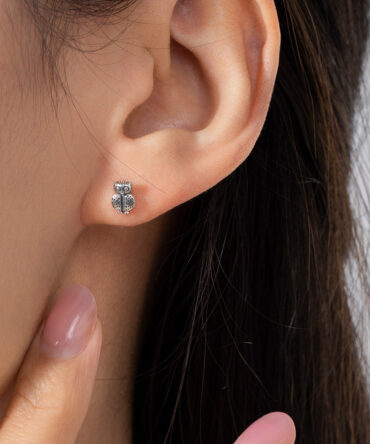 S925 Sterling Silver Creative Design Cute Owl Stud Earrings For Women